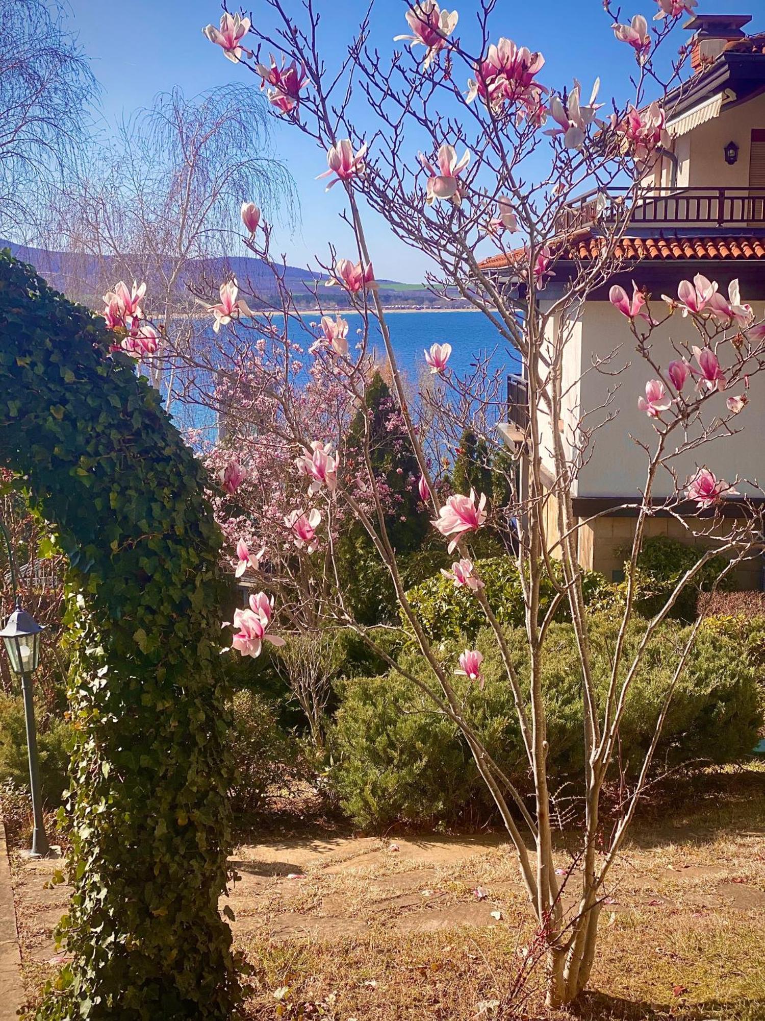 Aj Apartment 1 With Pool View, Santa Marina Holiday Village, Sozopol Esterno foto